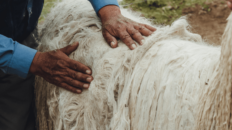 moda_con_conciencia_-_800_1.png
